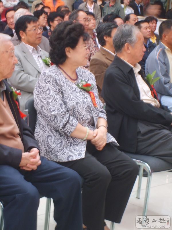 S5005215.jpg