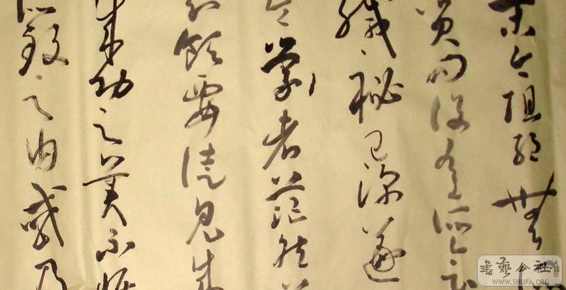 DSC04827.JPG