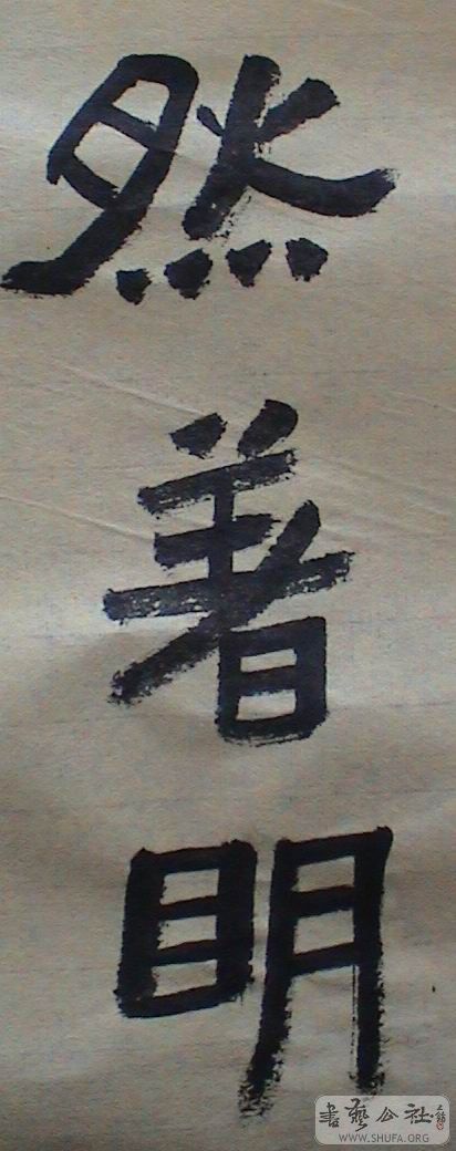 DSC07886.JPG
