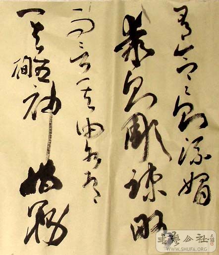 DSC04829.JPG