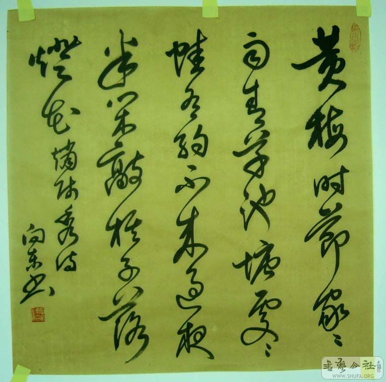 21.JPG