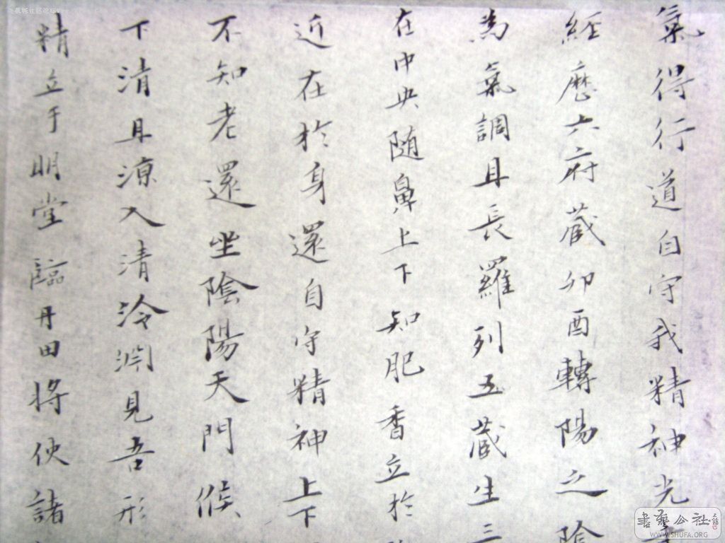 2008930181181.jpg