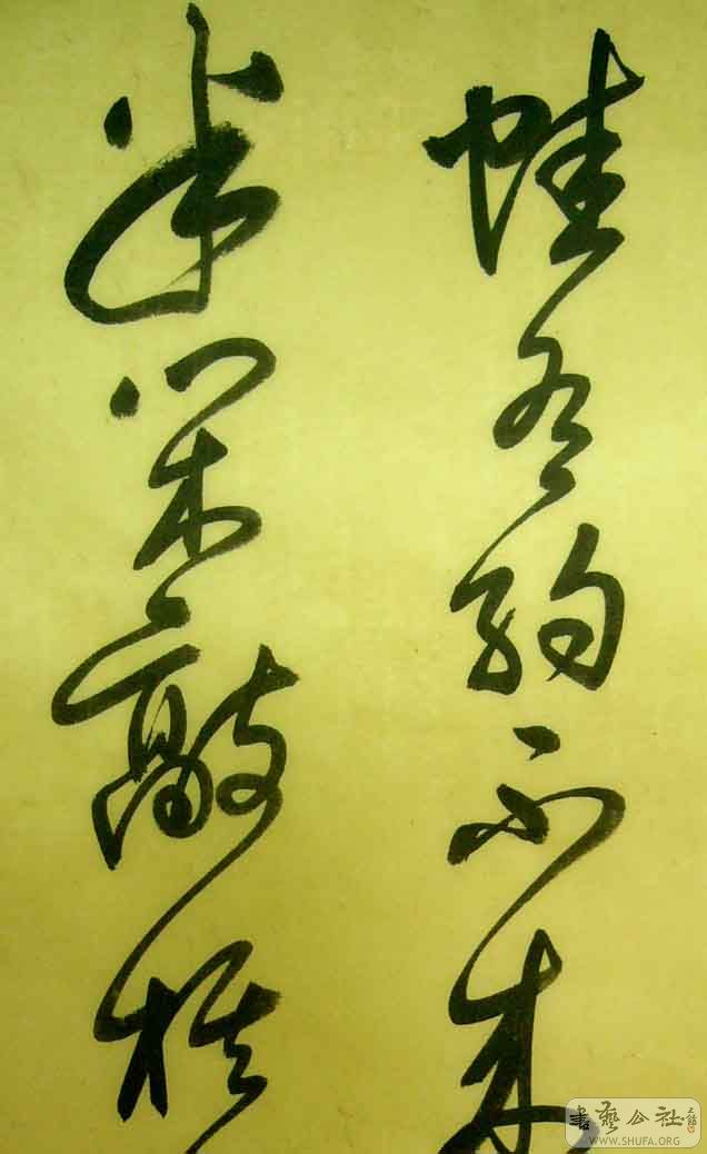 211.JPG