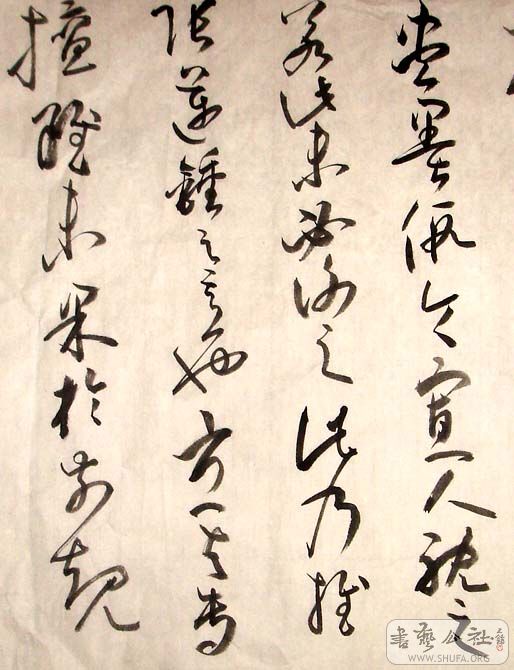 DSC04841.JPG
