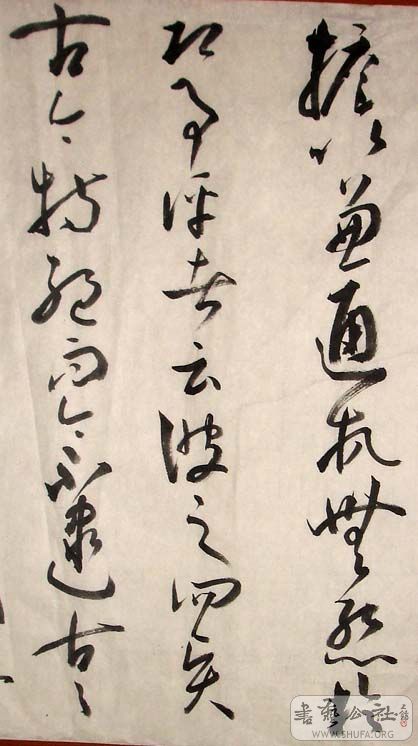 DSC04842.JPG