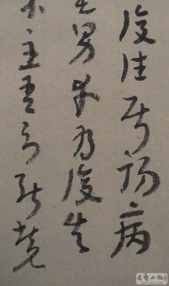 DSC07907.JPG