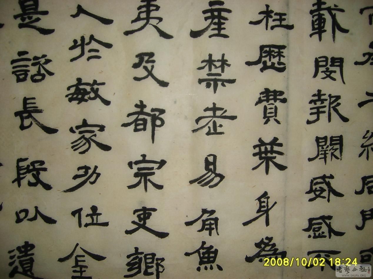 S6002112.JPG