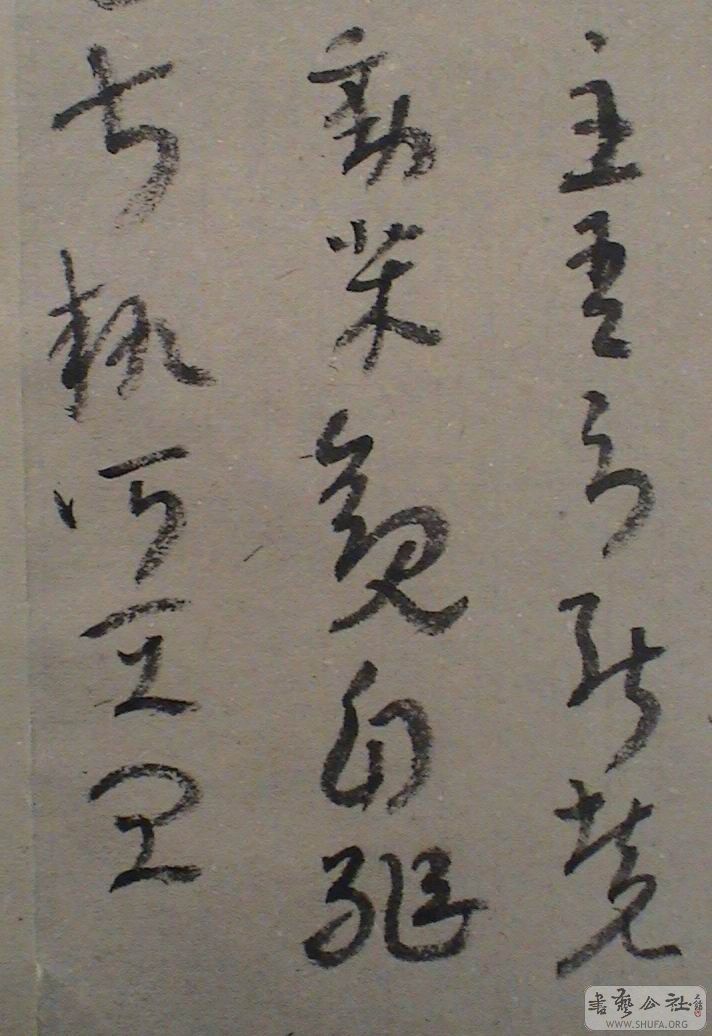 DSC07908.JPG