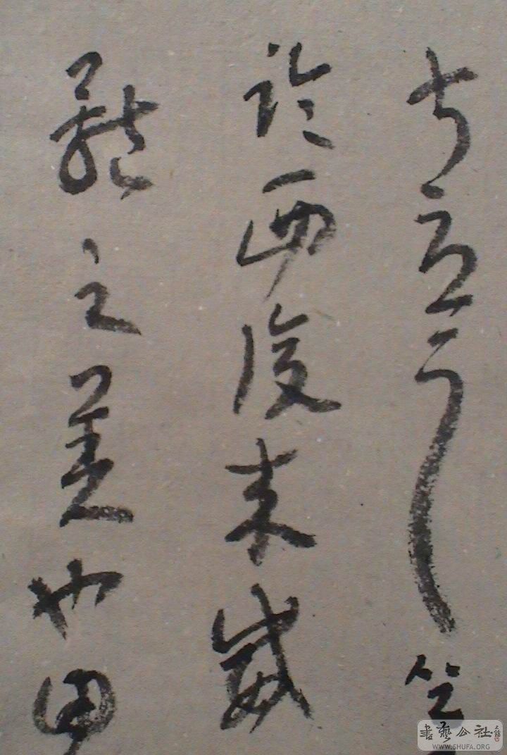 DSC07905.JPG