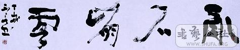 p10.jpg