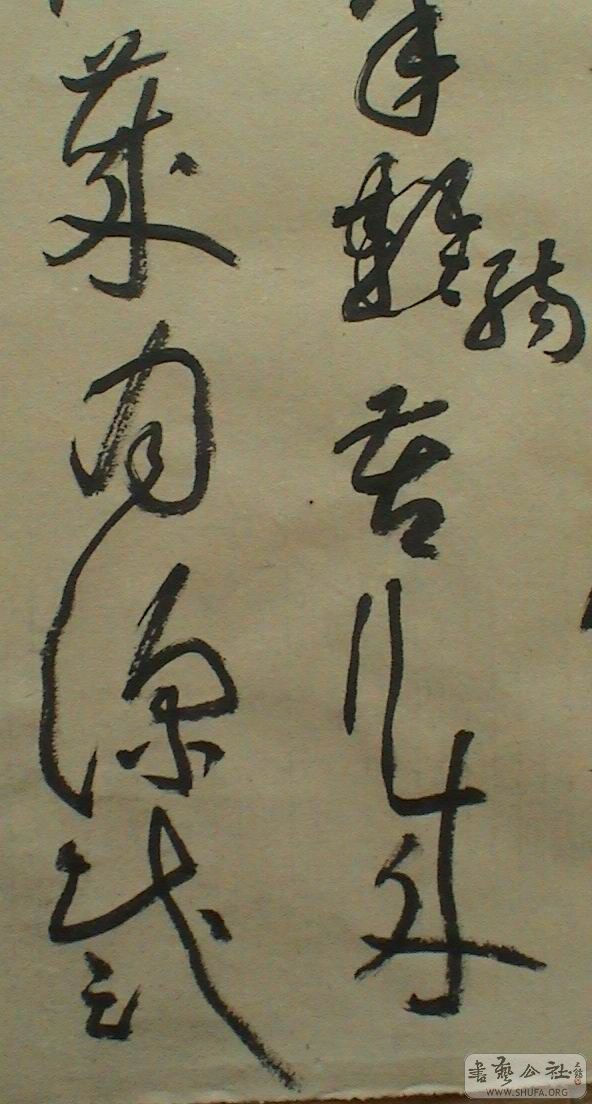 DSC07928.JPG