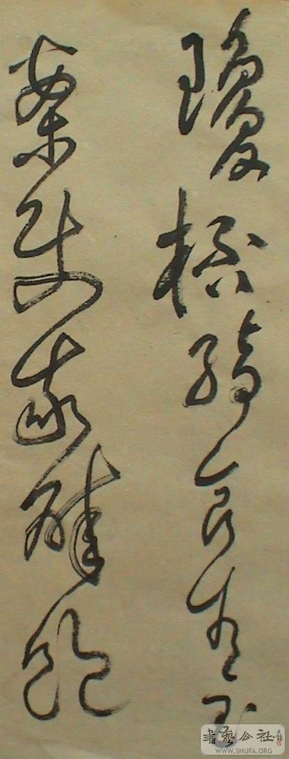 DSC07929.JPG