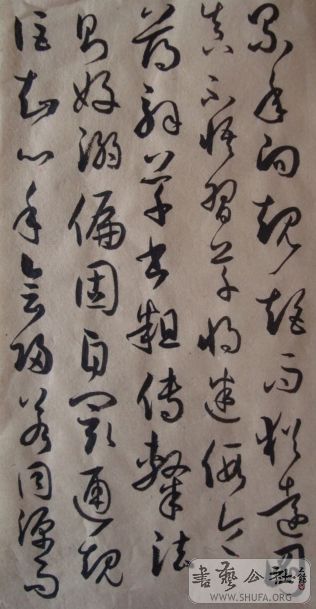 ��ת DSC01499.jpg