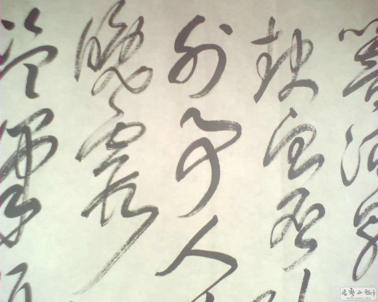 M20081005003.jpg