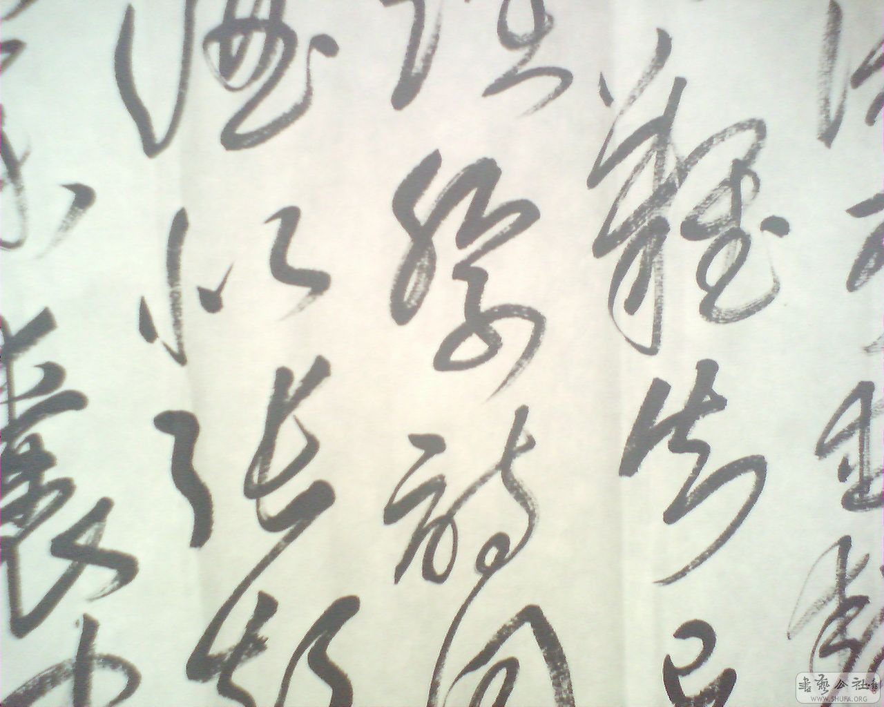 M20081005005.jpg