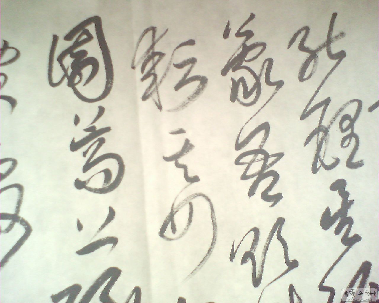 M20081005004.jpg