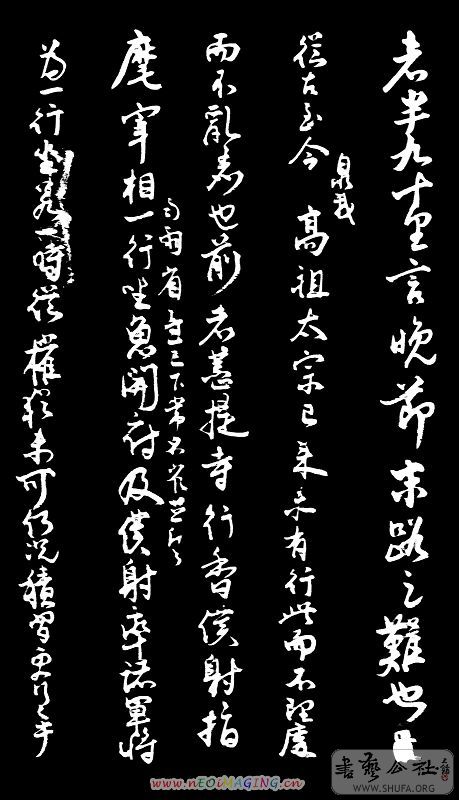224_3178.jpg