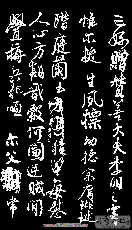 224_3170.jpg