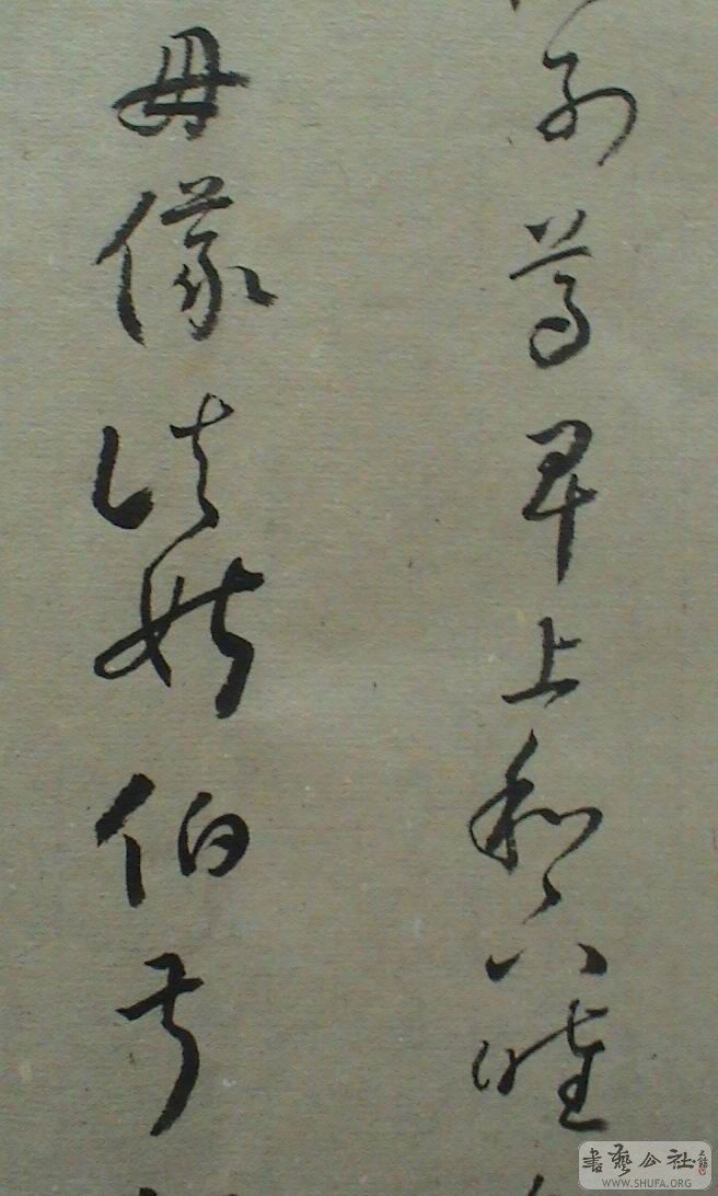 DSC07954.JPG