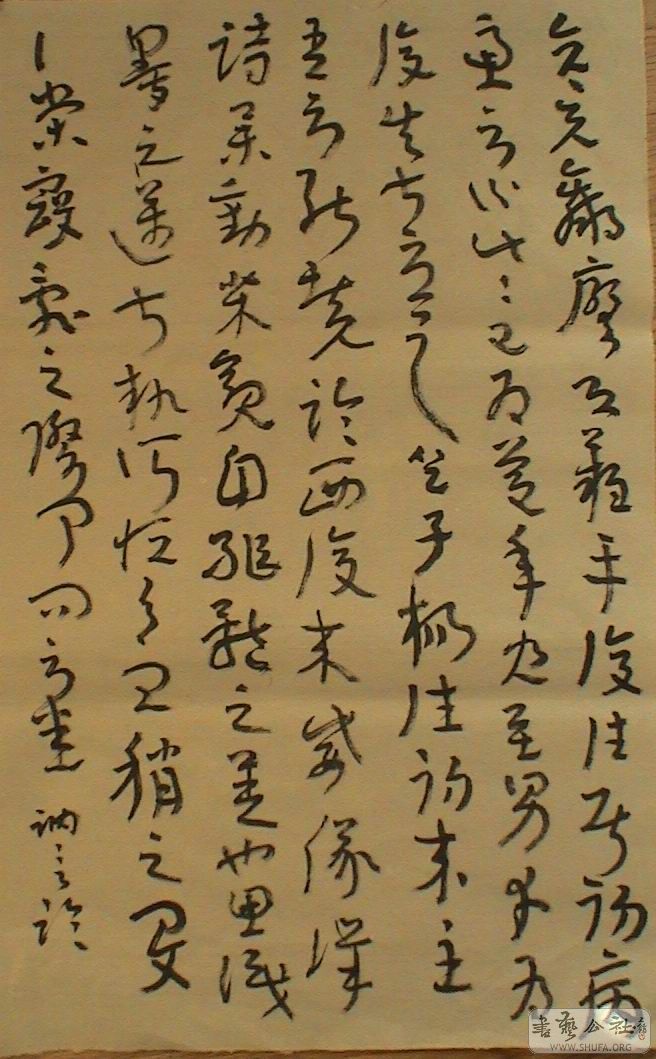 DSC07961.JPG