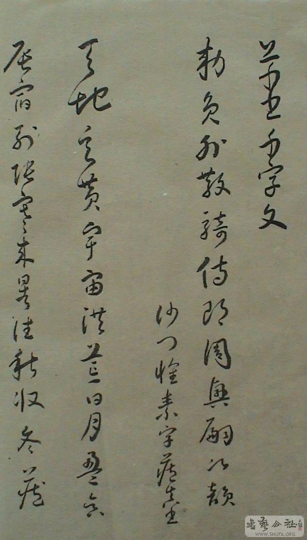 DSC07951.JPG