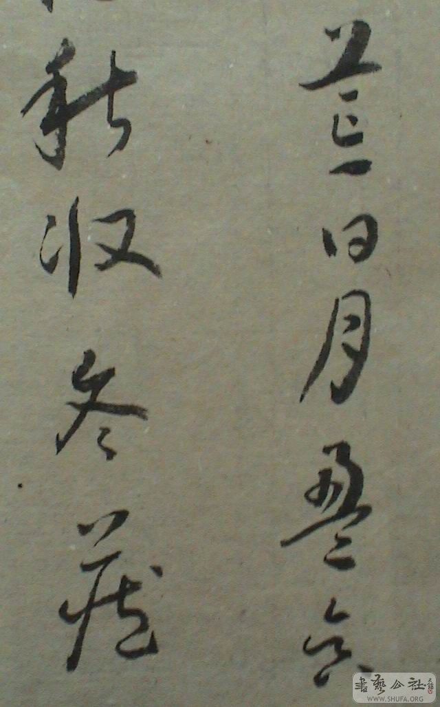DSC07952.JPG