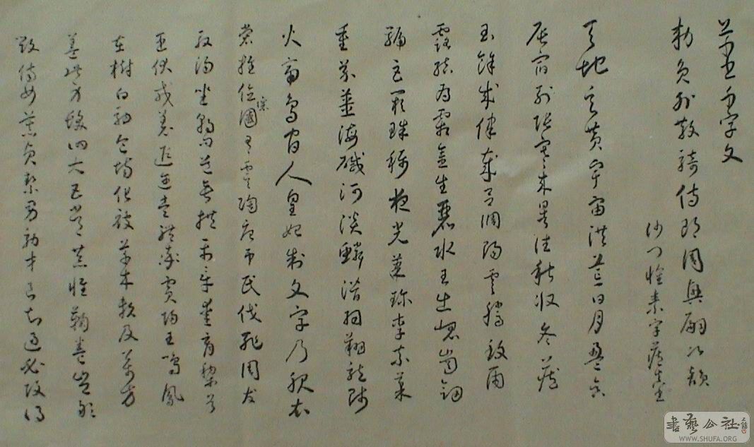 DSC07946.JPG