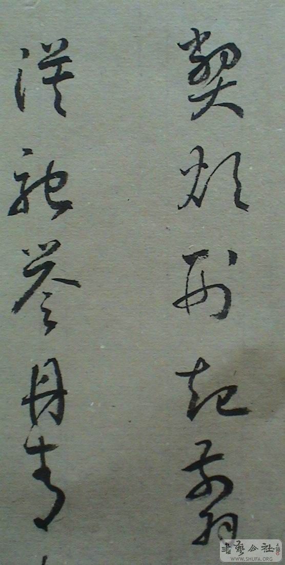 DSC07967.JPG