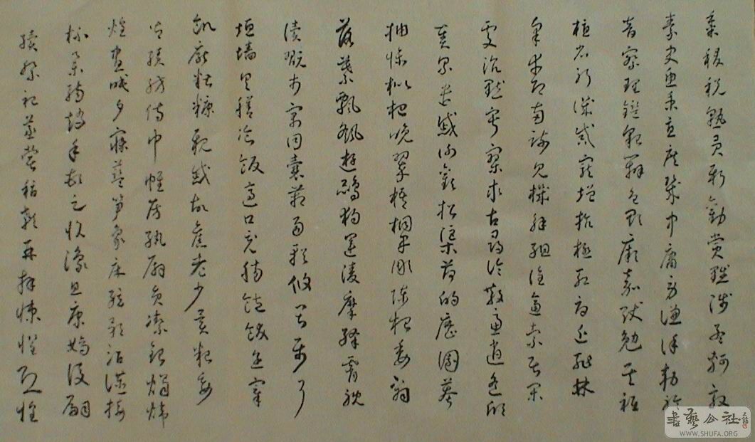 DSC07949.JPG