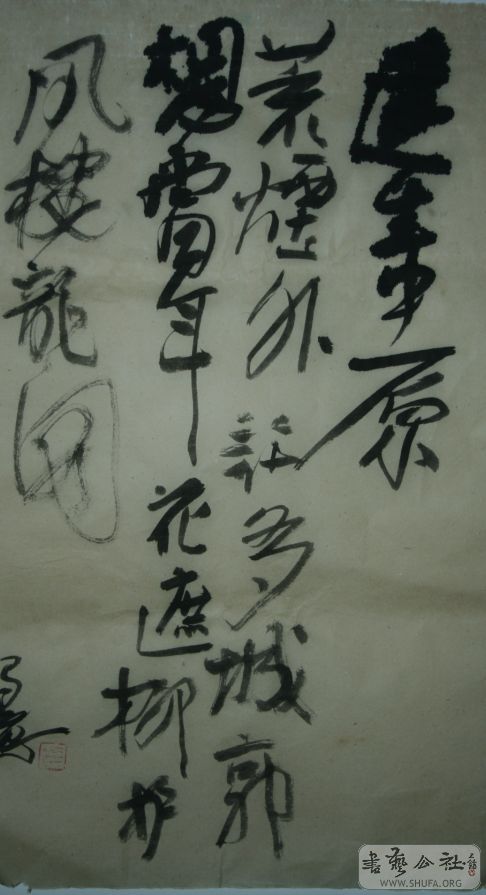 鷨.jpg