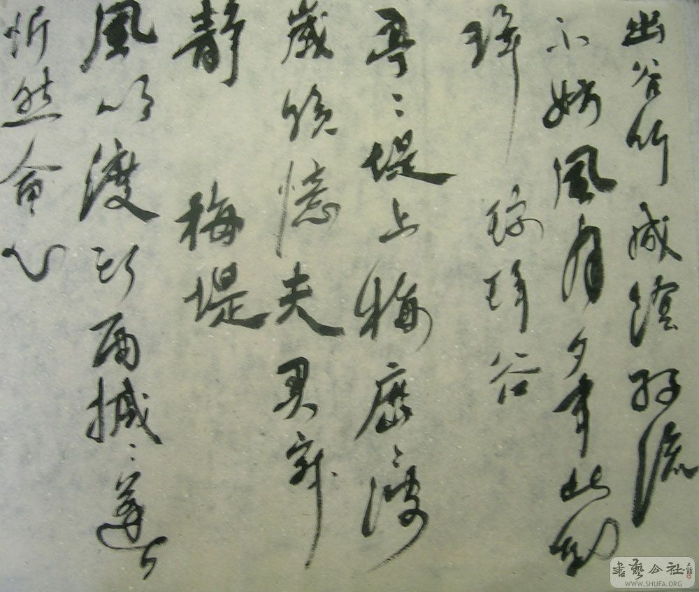 DSCN1488 .jpg