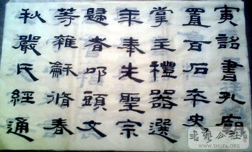 IMG0924A.jpg