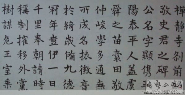 78.jpg