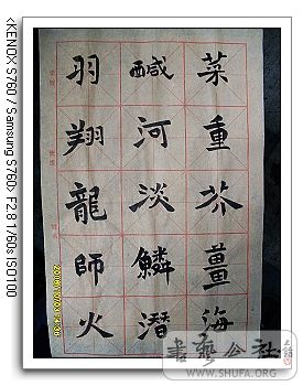 nEO_IMG_SDC10291.jpg
