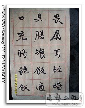 nEO_IMG_SDC10340.jpg