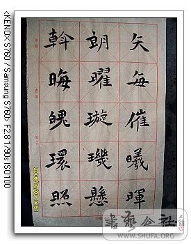 nEO_IMG_SDC10350.jpg