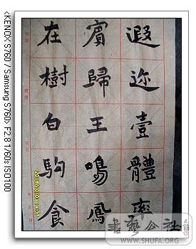 nEO_IMG_SDC10295.jpg