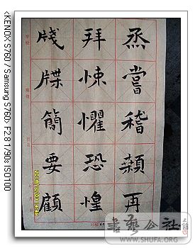 nEO_IMG_SDC10345.jpg