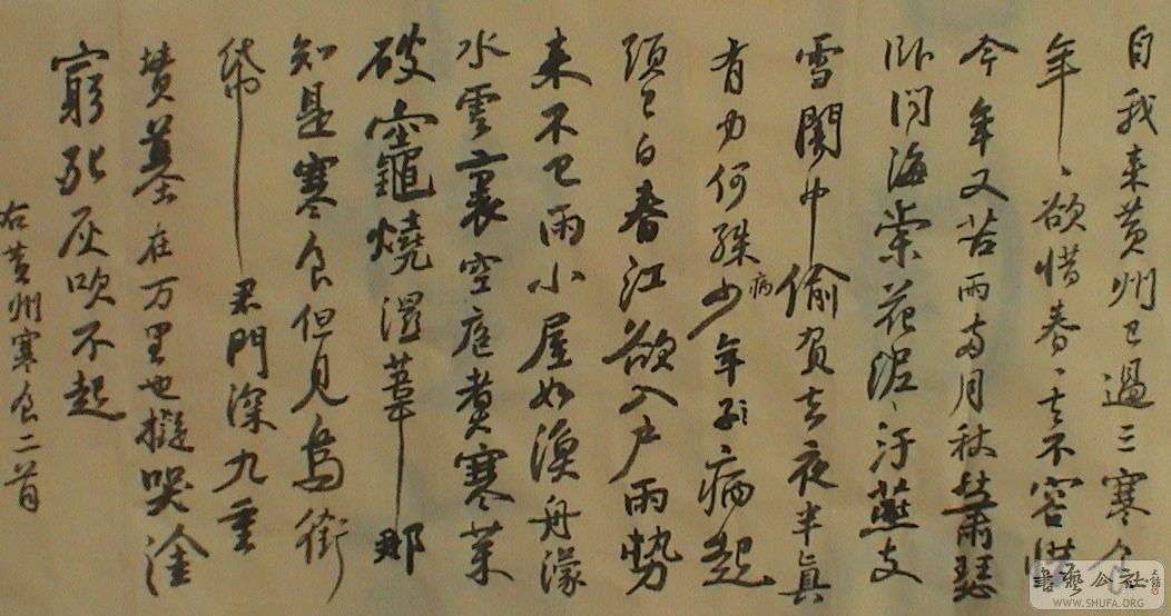 DSC07994.JPG
