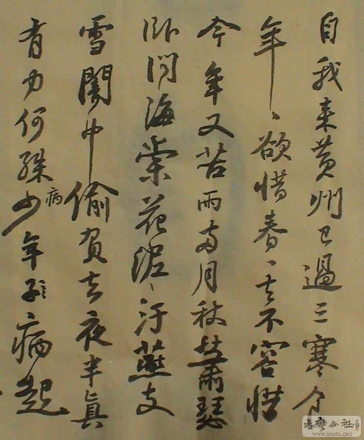 DSC07995.JPG