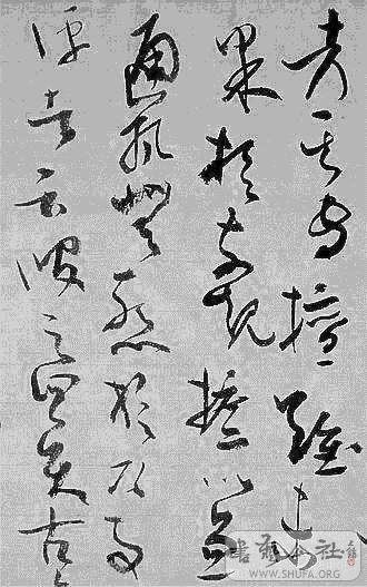 DSCF6255.jpg
