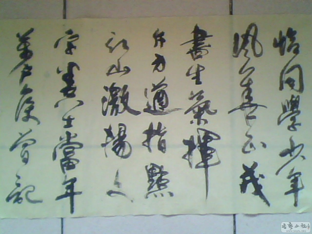IMG0029A.jpg