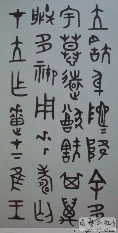 80.jpg