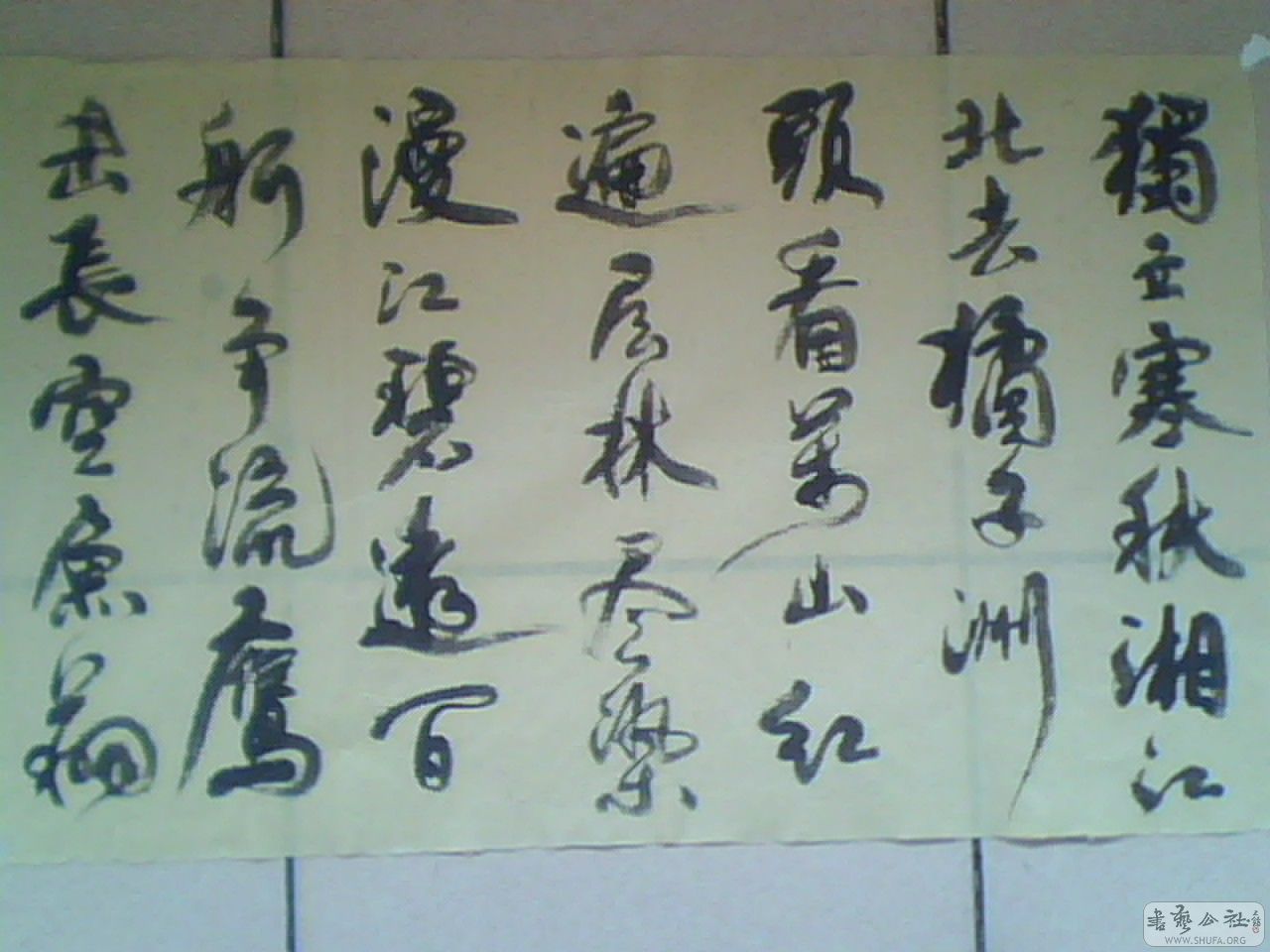 IMG0019A.jpg