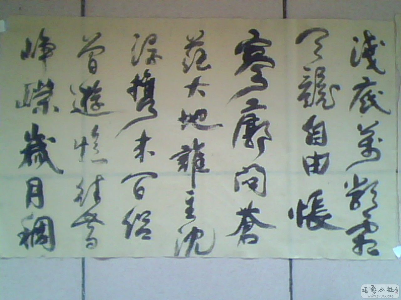 IMG0021A.jpg