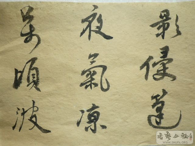 P1010162.JPG