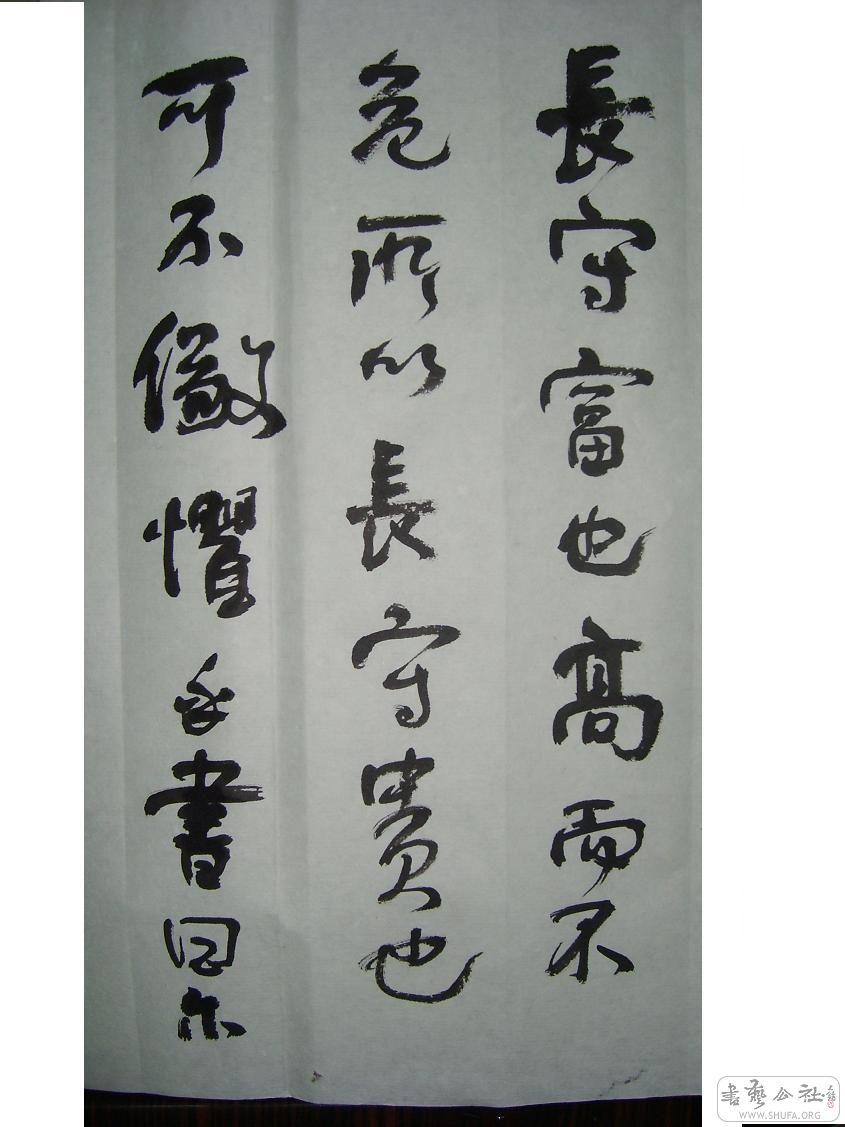 S6002158.JPG