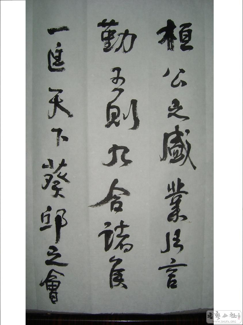 S6002160.JPG