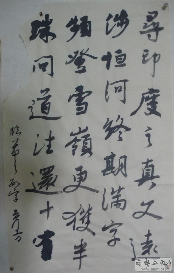 P1020824.jpg