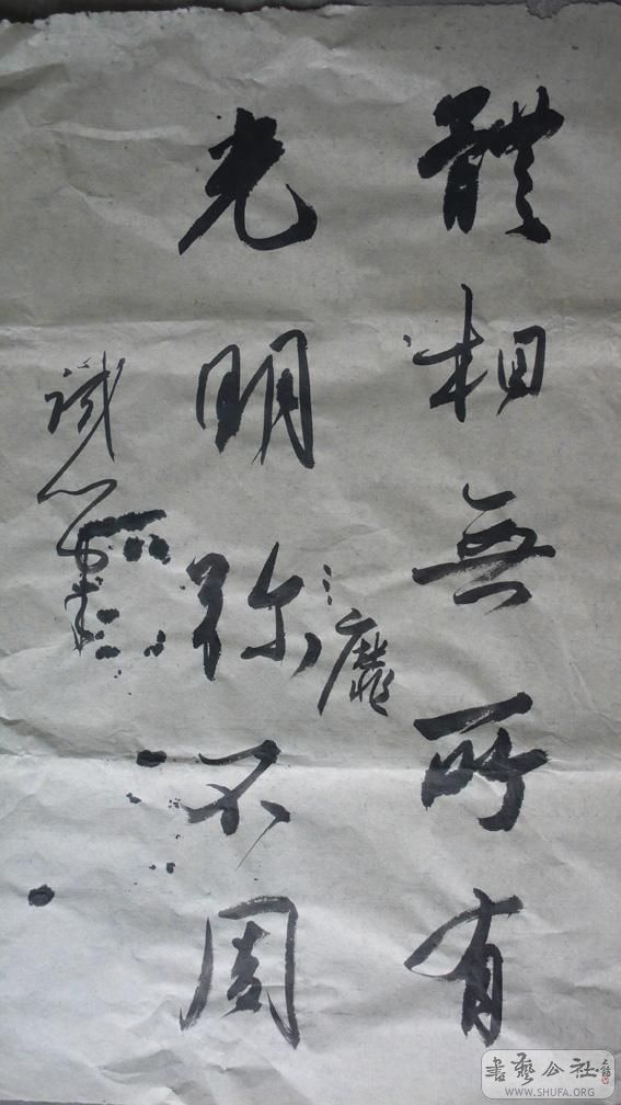 P1020823.jpg